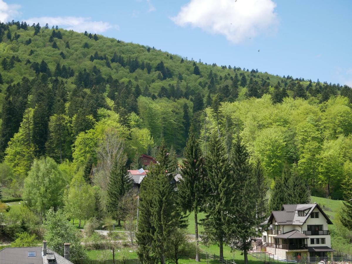 Riky Apart Mountain View Apartment Синая Екстериор снимка