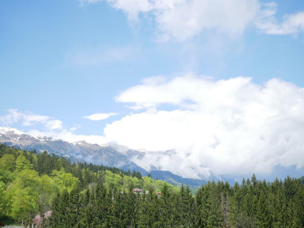 Riky Apart Mountain View Apartment Синая Екстериор снимка